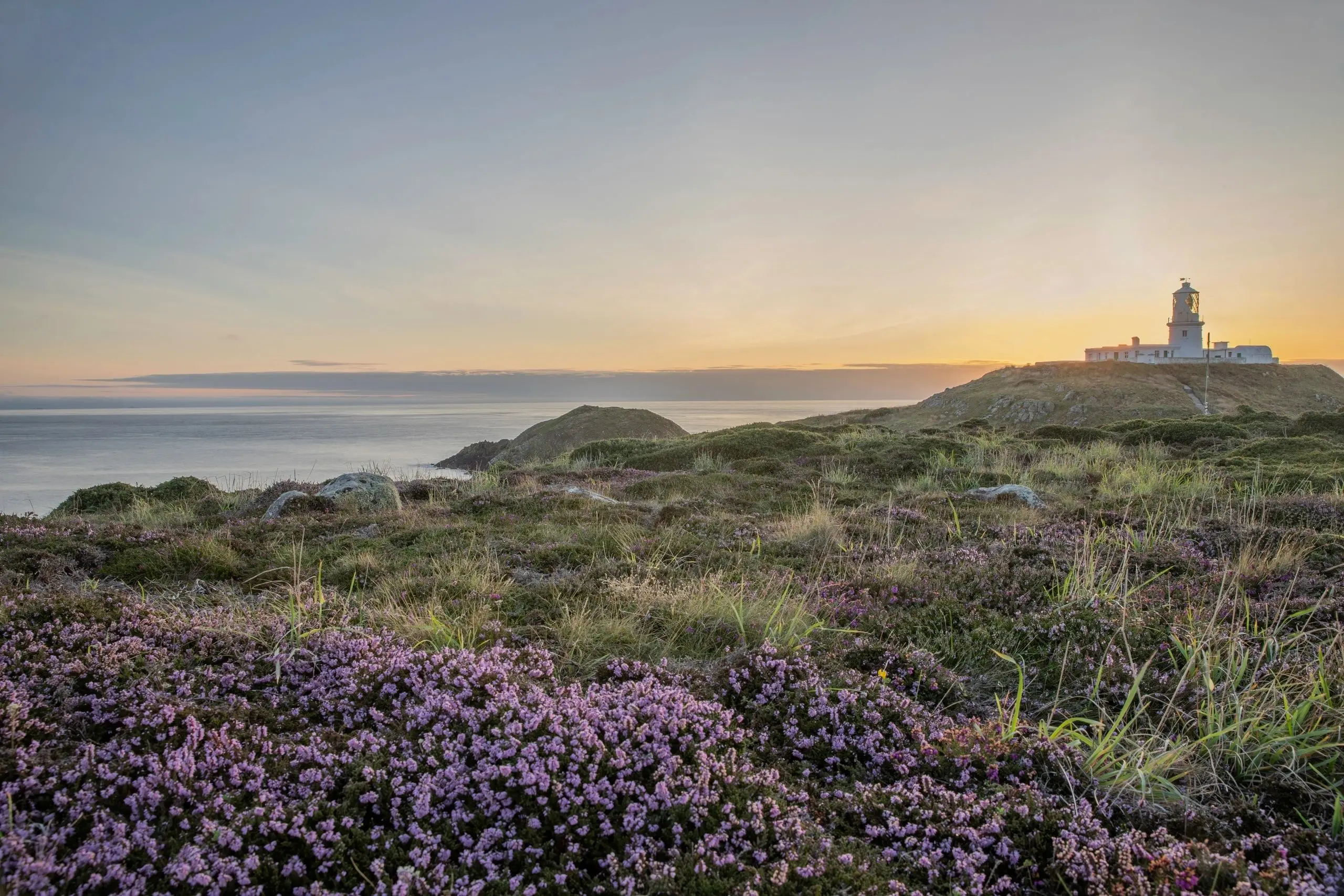 Strumble Head With Heather