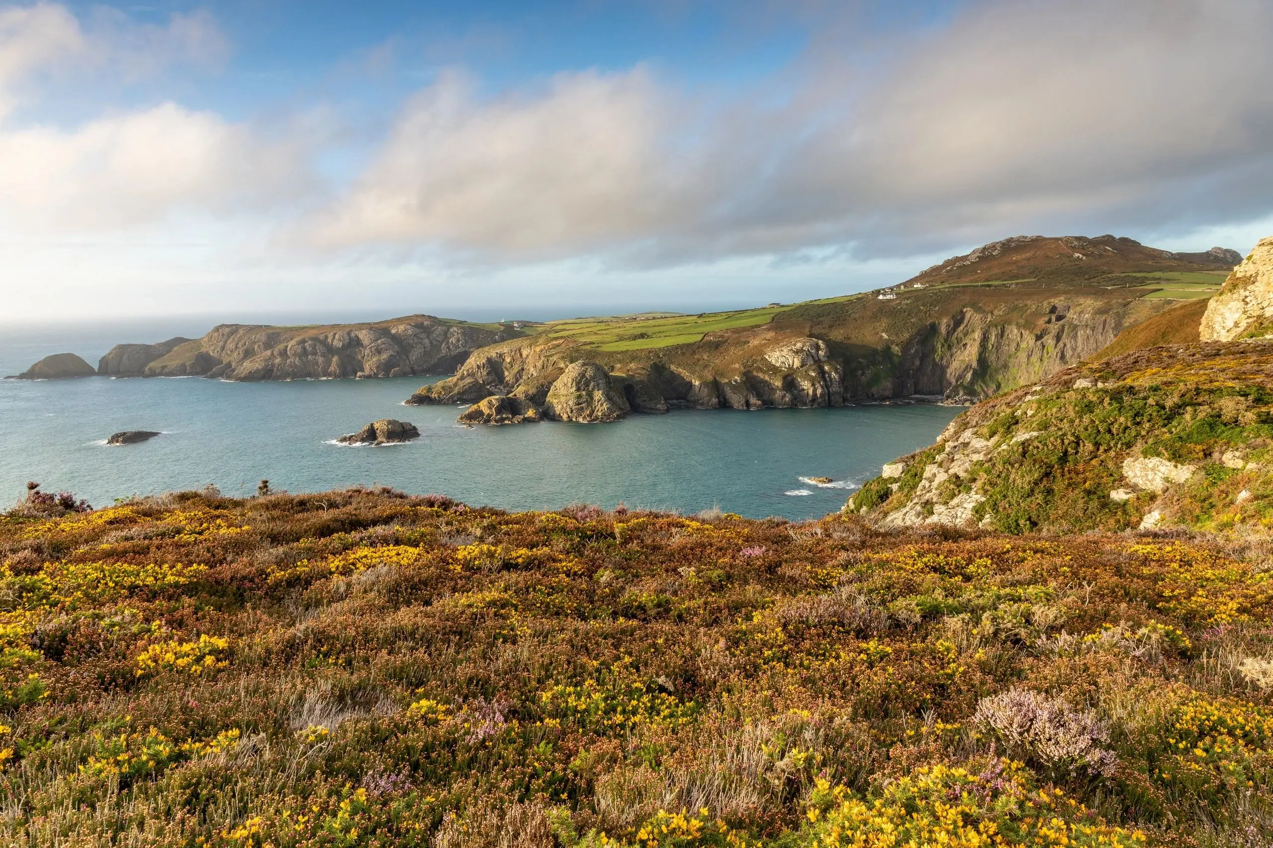 Pwll Deri